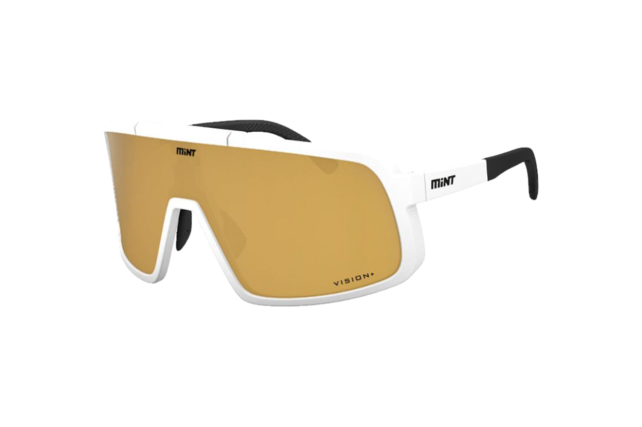 Level Up Vision+