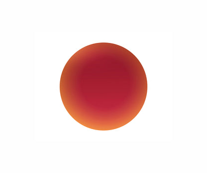 Fast Forward prescription lens Vision+ RX