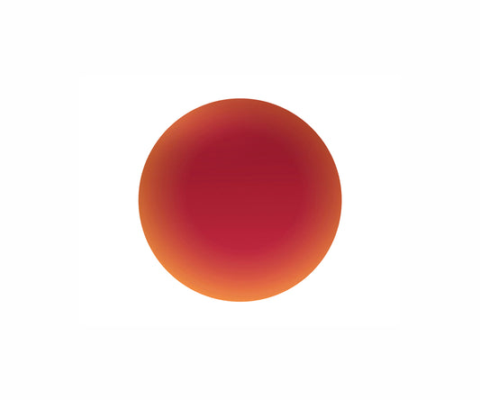Rouleur prescription lens Vision+ RX