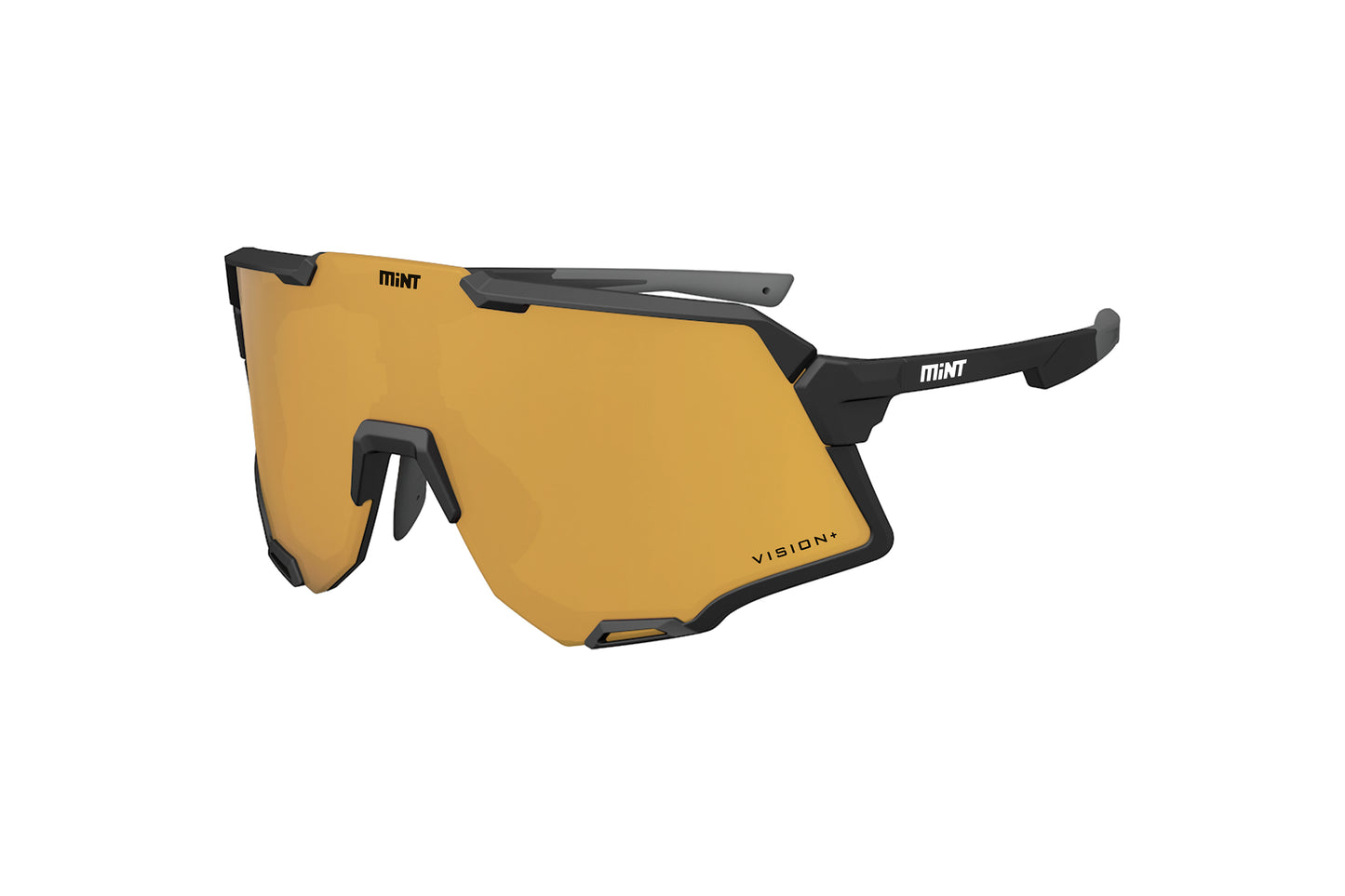 Rouleur Vision+